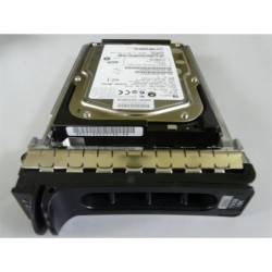 Disque DELL SEAGATE 146 Go SAS 15,4 K LFF (ST3146854SS)