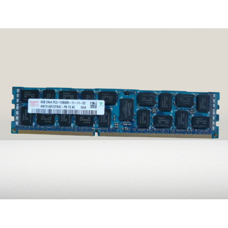 Mémoire SAMSUNG 8 Go PC3 2RX4 1333MHz 10600R RDIMM (M393B1K70CH0-CH9)