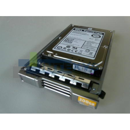 Disque DELL 300 Go SAS 6G 10K SFF EQUALLOGIC (0Y9WDY)