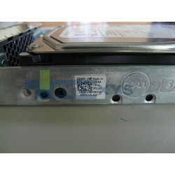 Berceau disque DELL SAS SATA G11 (G302D)
