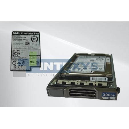 Disque DELL 300 Go SAS 12G 15K SFF COMPELLENT (GM1R8)