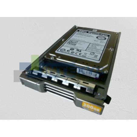 Disque DELL 900 Go SAS 6G 10K SFF EQUALLOGIC (FR83F)