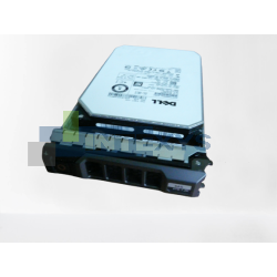 Disque DELL 8 To SAS 12G 7,2K LFF (GKWHP)