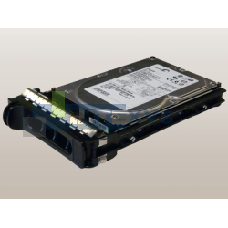 Disque DELL 2 To SATA 7,2K LFF (ST32000644NS-DELL)