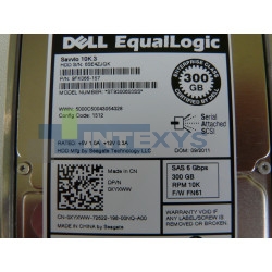 Disque DELL 300 Go SAS 6G 10K SFF EQUALLOGIC (9FK066-150)